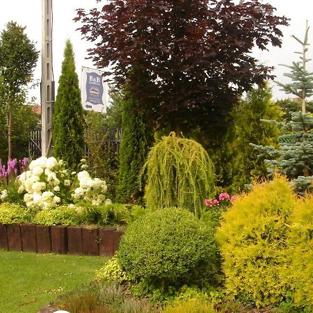 B&B Kamelia Коморники Экстерьер фото