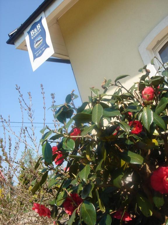 B&B Kamelia Коморники Экстерьер фото