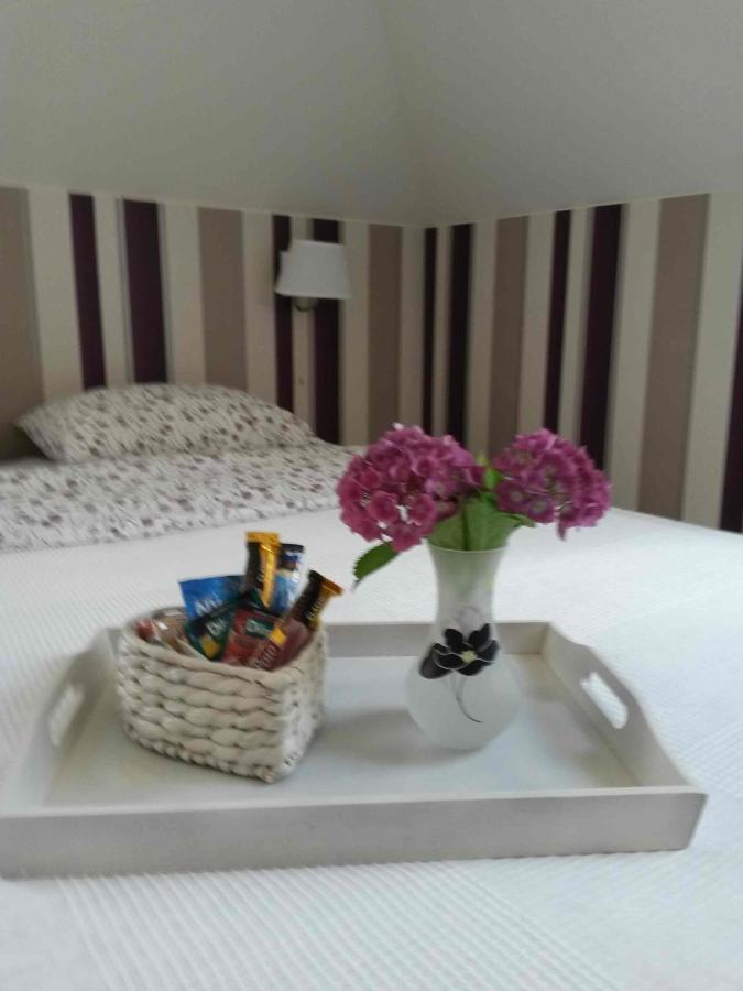 B&B Kamelia Коморники Экстерьер фото